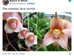 Keanehan di Alam yang Terekam Kamera, Bikin Melotot