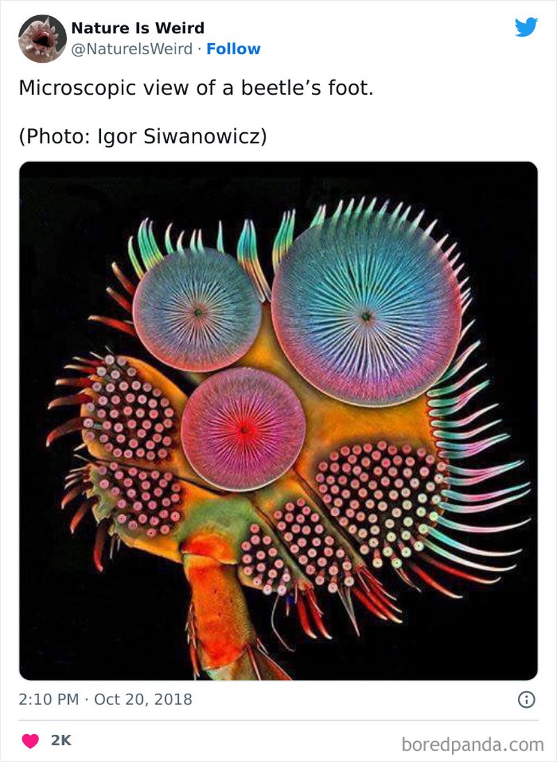 Keanehan dunia yang bikin melotot