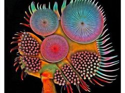 Keanehan di Alam yang Terekam Kamera, Bikin Melotot