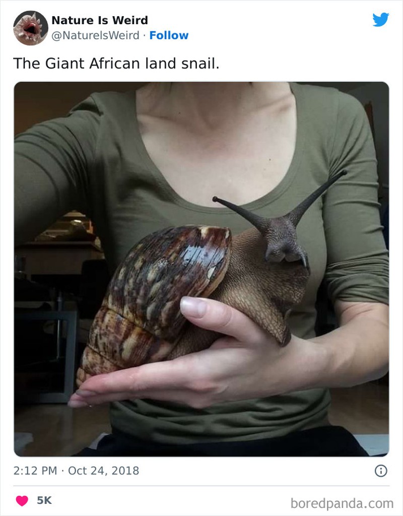 Keanehan dunia yang bikin melotot