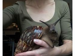 Keanehan di Alam yang Terekam Kamera, Bikin Melotot