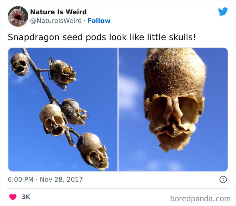 Keanehan dunia yang bikin melotot