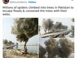 Keanehan di Alam yang Terekam Kamera, Bikin Melotot