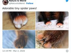 Keanehan di Alam yang Terekam Kamera, Bikin Melotot