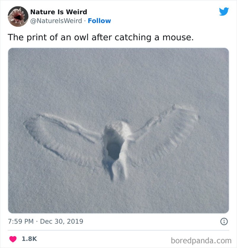 Keanehan dunia yang bikin melotot