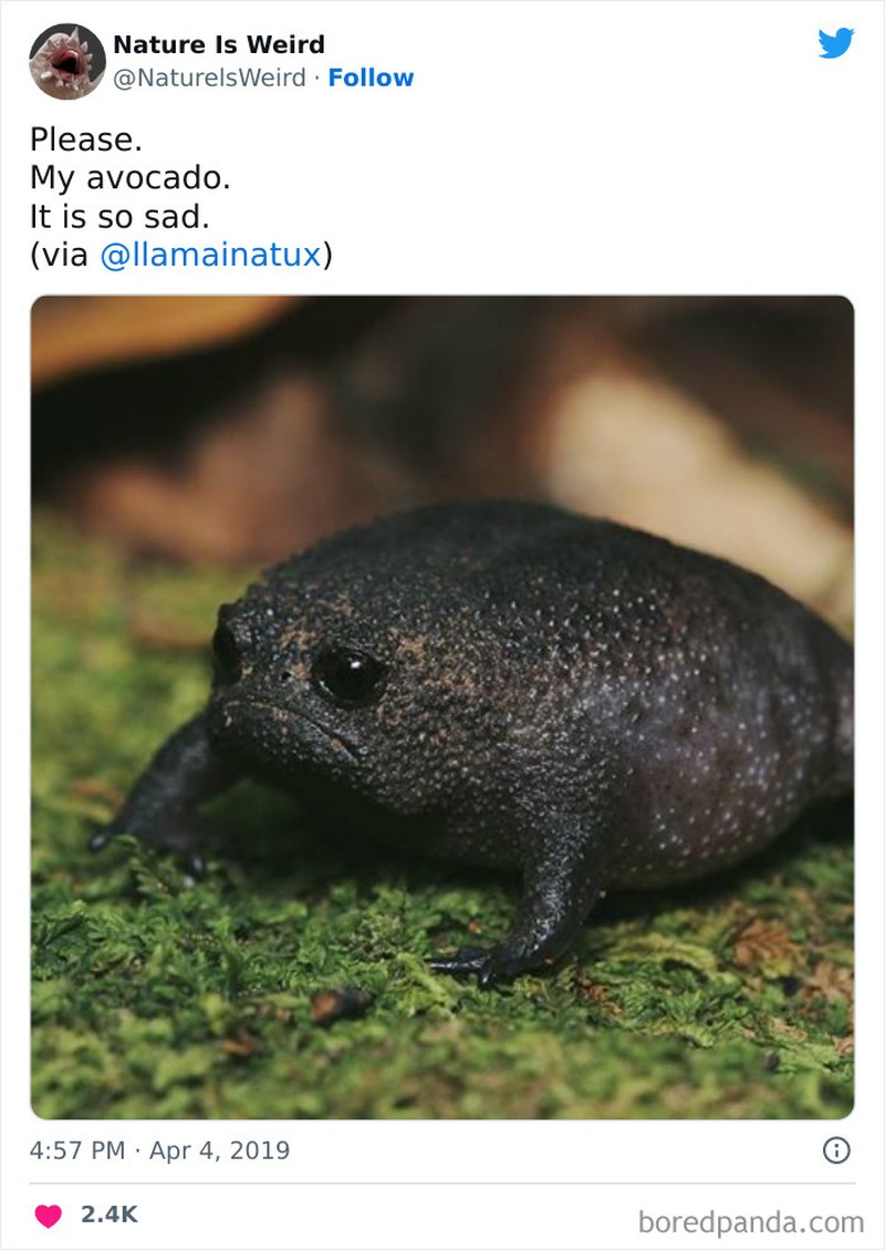 Keanehan dunia yang bikin melotot