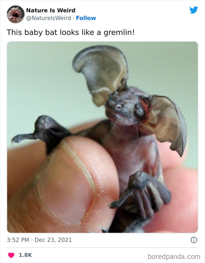 Keanehan dunia yang bikin melotot