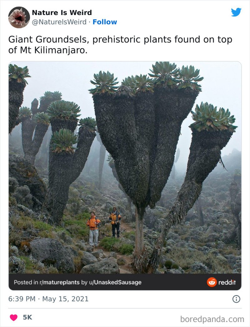 Keanehan dunia yang bikin melotot