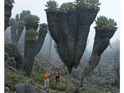 Keanehan di Alam yang Terekam Kamera, Bikin Melotot
