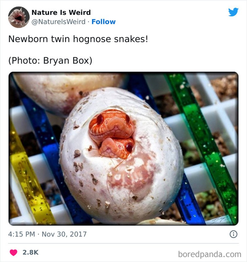 Keanehan dunia yang bikin melotot