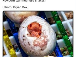 Keanehan di Alam yang Terekam Kamera, Bikin Melotot