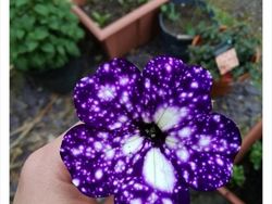 Keanehan di Alam yang Terekam Kamera, Bikin Melotot