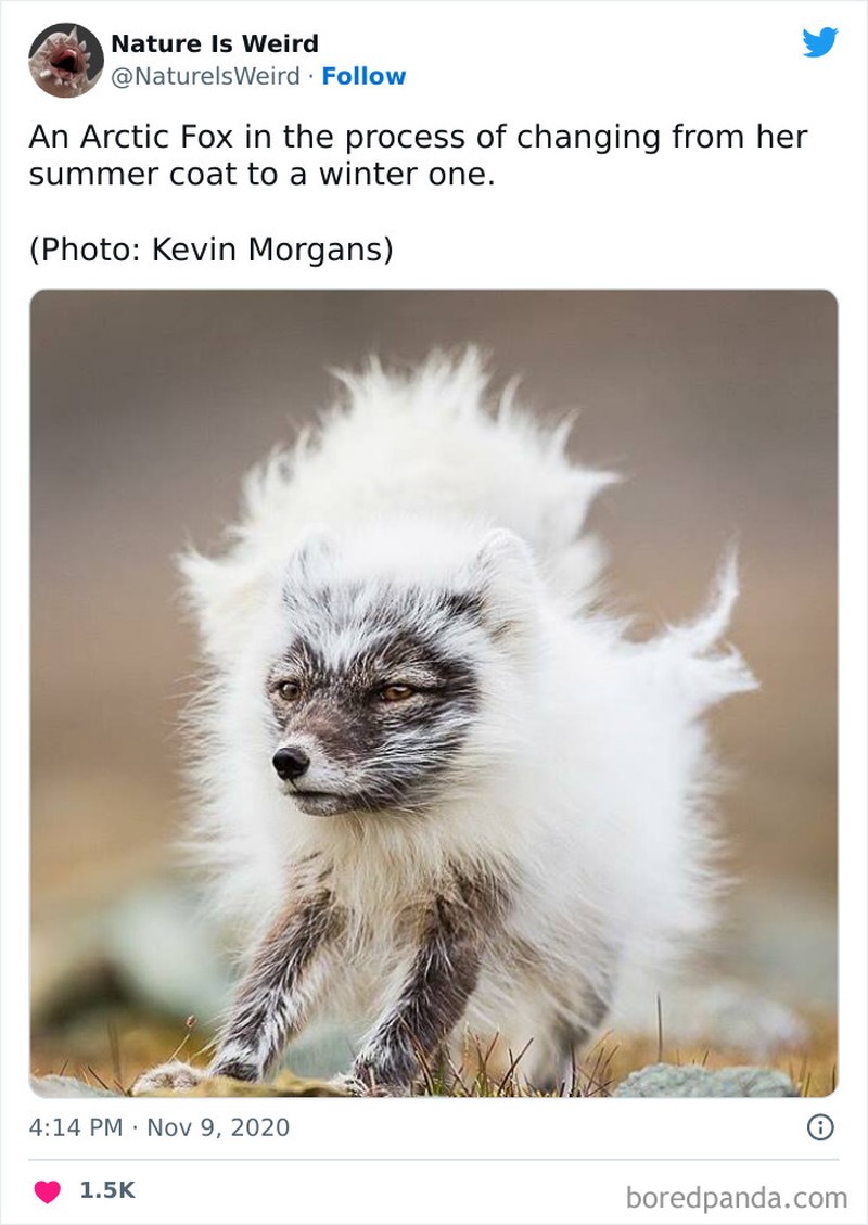 Keanehan dunia yang bikin melotot