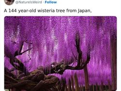 Keanehan di Alam yang Terekam Kamera, Bikin Melotot