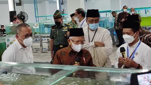 Tinjau Laboratorium BRIN di Lombok, Maruf Tanya soal Hasil Riset