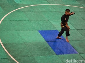 Ada 8 Perguruan Pencak Silat Indonesia Terbesar di Dunia