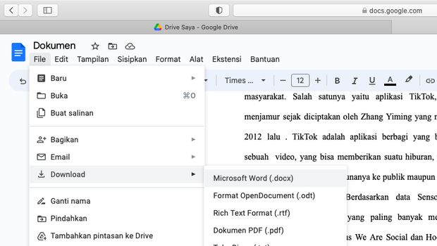 Tangkapan layar tampilan file di Google Docs