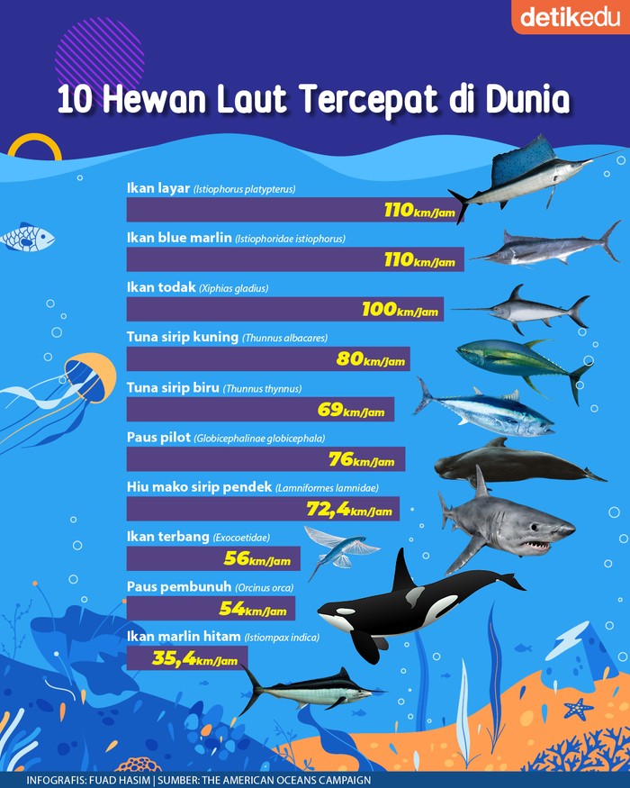 10 Hewan Laut Tercepat di Dunia