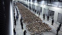 Penjara di El Salvador ini terletak di Tecoluca dengan kapasitas menampung 40.000 narapidana. Penjara ini diproyeksikan sebagai Pusat Pengurungan Terorisme (CECOT). (Press Secretary Of The Presidency Of El Salvador/REUTERS)