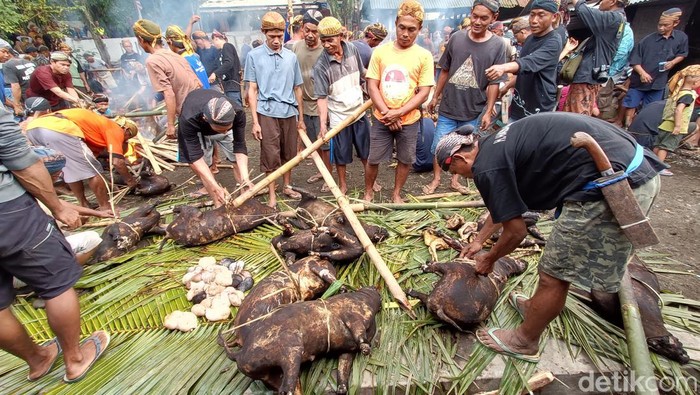 Anak Putu Banokeling membersihkan bulu kambing sebelum dimasak dan dimakan bersama saat prosesi Perlon Unggahan menjelang bulan Ramadhan di Desa Pekuncen, Kecamatan Jatilawang, Kabupaten Banyumas, Jumat (17/3/2023).