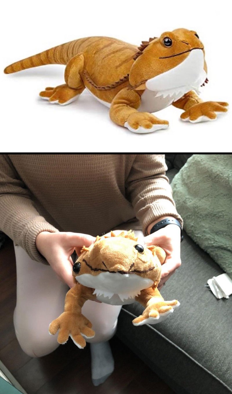 Pernah belaja online dan barang yang datang tak sesuai dengan harapan? Seperti pengalaman orang-orang berikut ini.