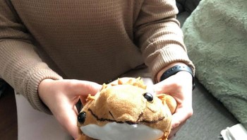 Sebentar, kayaknya ada yang salah dengan posisi matanya ya. Foto: (Bored Panda).