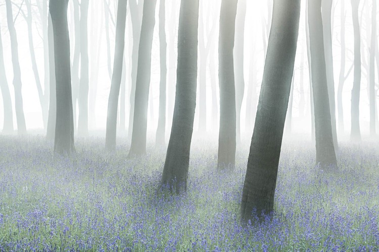 British Wildlife Photography Awards 2023