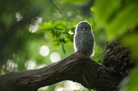 British Wildlife Photography Awards 2023