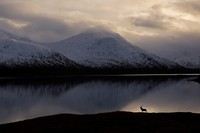 British Wildlife Photography Awards 2023