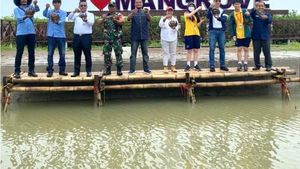 IKPP hingga Eka Hospital Tanam Mangrove di Ketapang Urban Aquaculture