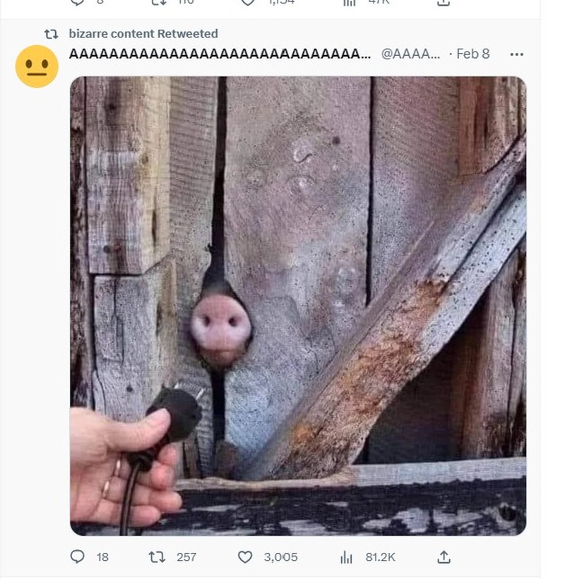 Foto aneh kiriman netizen