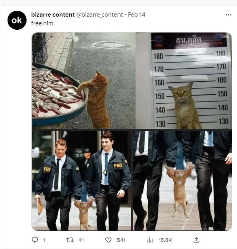 Foto aneh kiriman netizen