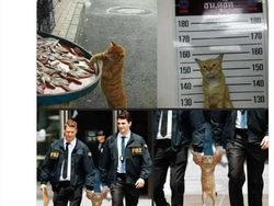 Deretan Foto Aneh yang Dibagikan Netizen Bikin Geleng-geleng