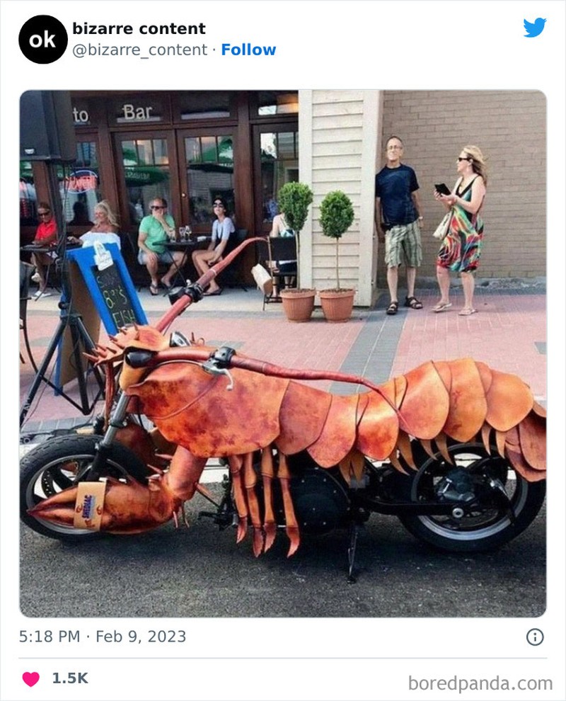 Foto aneh kiriman netizen