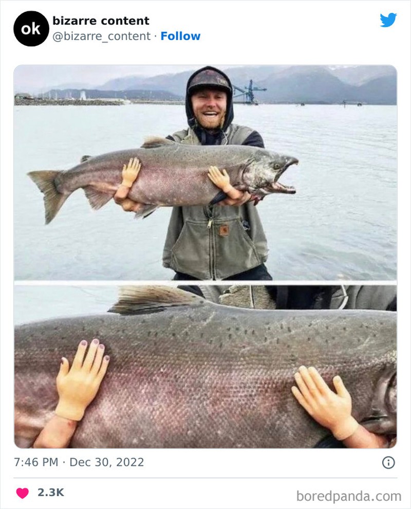 Foto aneh kiriman netizen