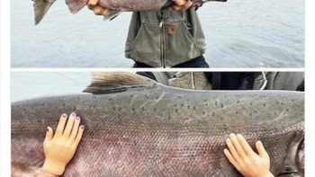 Sarung tangan yang unik. Foto: Twitter/Bizarre_Content