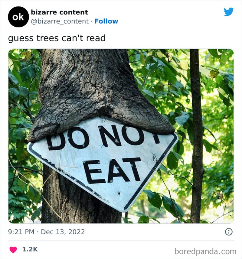 Foto aneh kiriman netizen