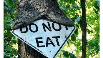 Dilarang makan malah dimakan. Foto: Twitter/Bizarre_Content