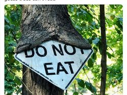 Deretan Foto Aneh yang Dibagikan Netizen Bikin Geleng-geleng