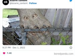 Deretan Foto Aneh yang Dibagikan Netizen Bikin Geleng-geleng