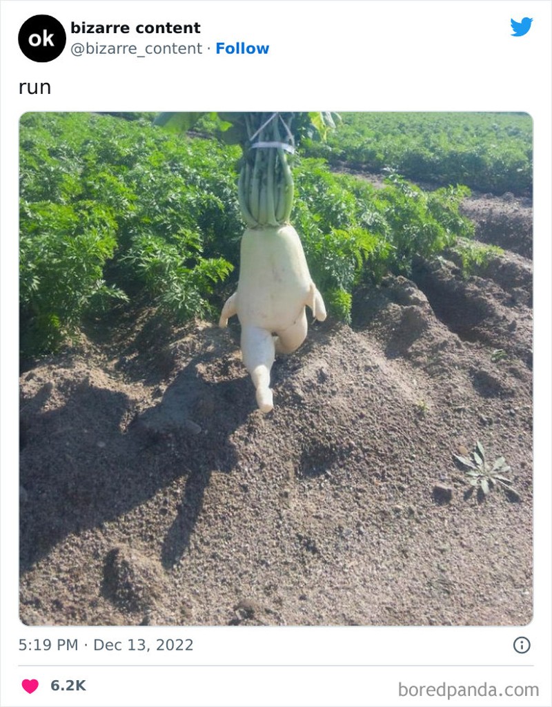 Foto aneh kiriman netizen