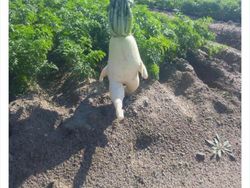 Deretan Foto Aneh yang Dibagikan Netizen Bikin Geleng-geleng