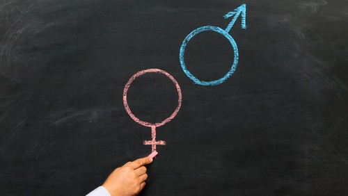 A mans hand with chalk draws a male and female gender symbol on a chalkboard