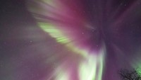 Aurora atau cahaya kutub adalah fenomena alam yang menghasilkan pancaran cahaya yang menyala-nyala dan menari-nari di langit malam pada lapisan ionosfer dari sebuah planet sebagai akibat adanya interaksi antara medan magnetik yang dimiliki planet tersebut dengan partikel bermuatan yang dipancarkan oleh Matahari.
