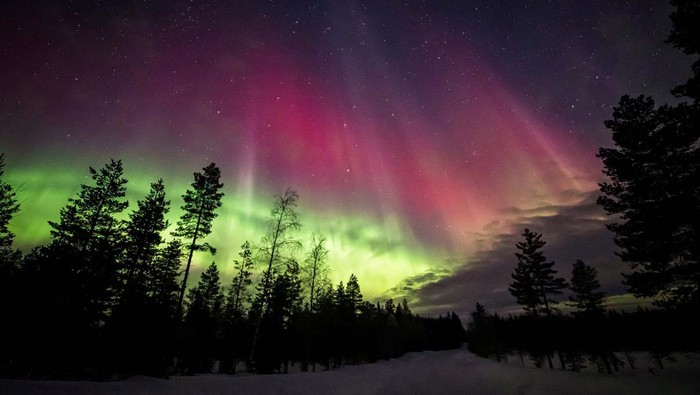Auroras, caused by a coronal mass ejection on the Sun, illuminate the skies over Lapland in Rovaniemi, Finland March 15, 2023 in this handout image. Courtesy of All About Lapland/Alexander Kuznetsov/Handout via REUTERS ATTENTION EDITOS - THIS IMAGE HAS BEEN SUPPLIED BY A THIRD PARTY. MANDATORY CREDIT TPX IMAGES OF THE DAY