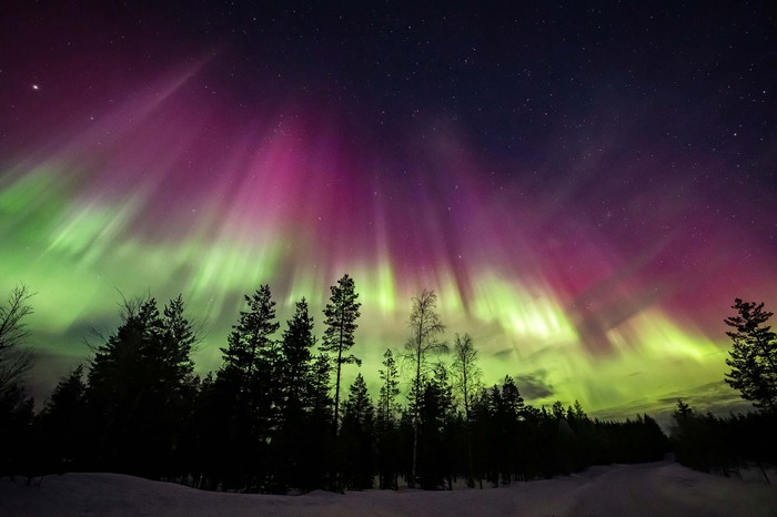 Auroras, caused by a coronal mass ejection on the Sun, illuminate the skies over Lapland in Rovaniemi, Finland March 15, 2023 in this handout image. Courtesy of All About Lapland/Alexander Kuznetsov/Handout via REUTERS ATTENTION EDITOS - THIS IMAGE HAS BEEN SUPPLIED BY A THIRD PARTY. MANDATORY CREDIT     TPX IMAGES OF THE DAY