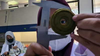 Keren, BRIN Sulap Daun Kelor jadi Biskuit dan Minuman