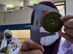 Keren, BRIN Sulap Daun Kelor jadi Biskuit dan Minuman