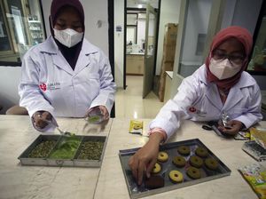 Artikel Ilmiah: Ciri-ciri, Lengkap dengan Sistematika dan Struktur