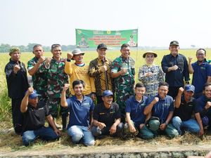 Bupati Serang Puji Panen Raya di Desa Laban, Hasilkan Gabah 9 Ton/Ha